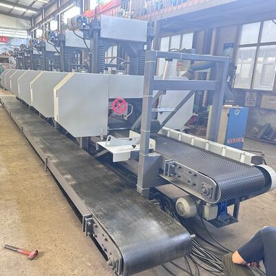 Multi-head Horizontal Resaws with 2 to 300mm Sawing Height and 700mm Saw Wheel Diameter